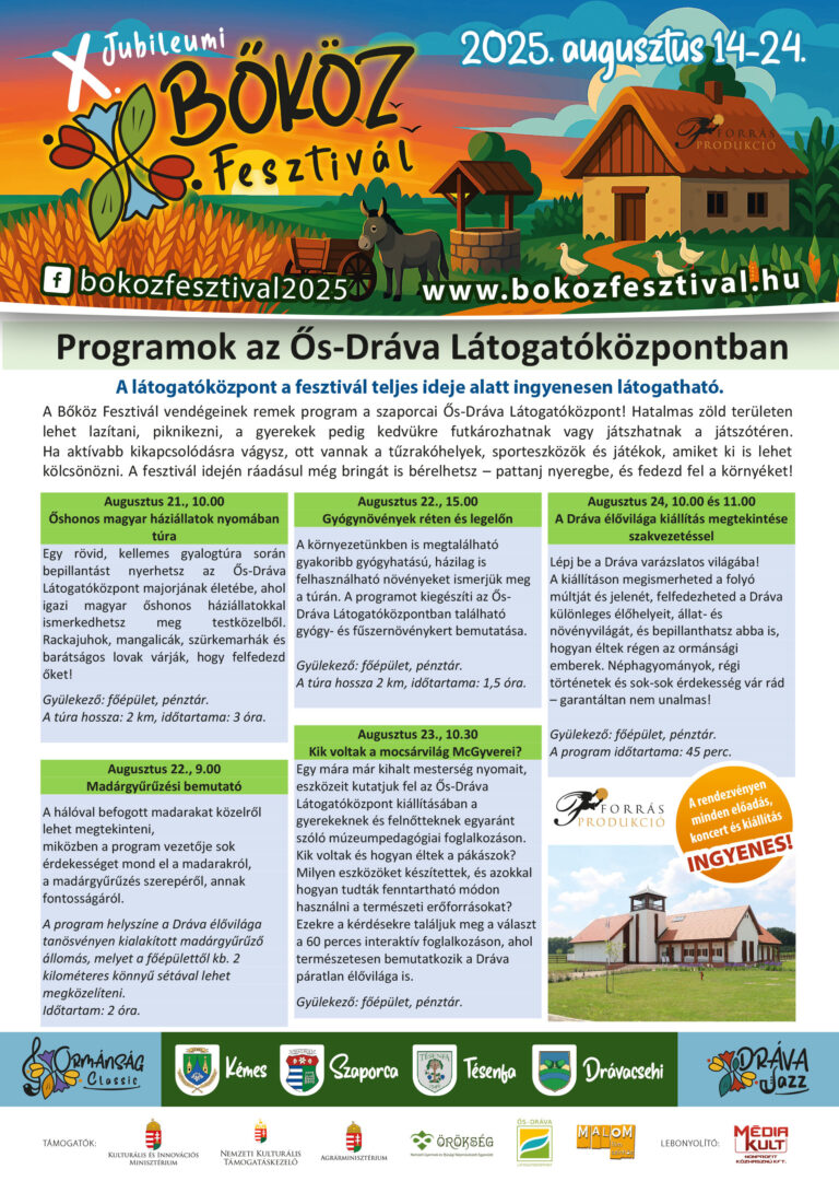 X bokoz fesztival plakat 2025 egyedi-15