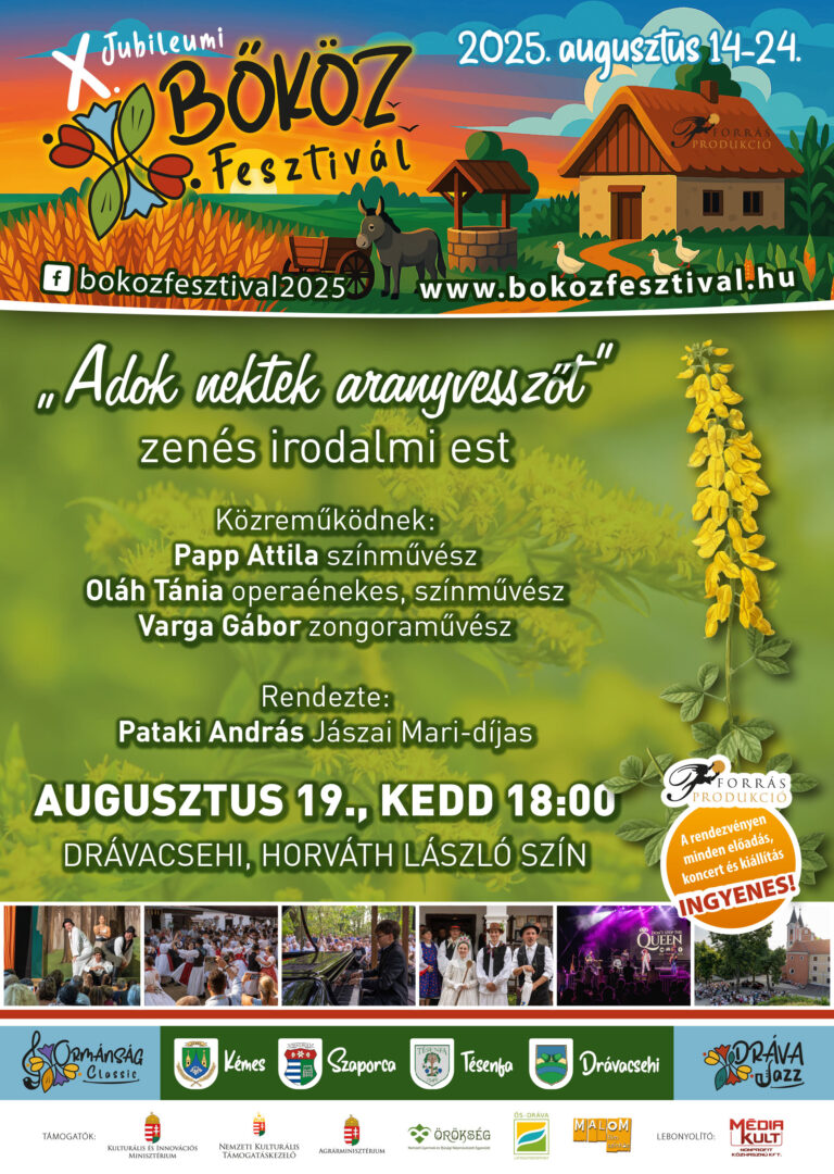 X bokoz fesztival plakat 2025 egyedi-20
