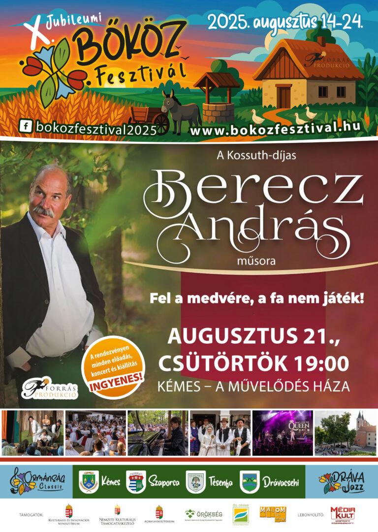 X bokoz fesztival plakat 2025 egyedi-4
