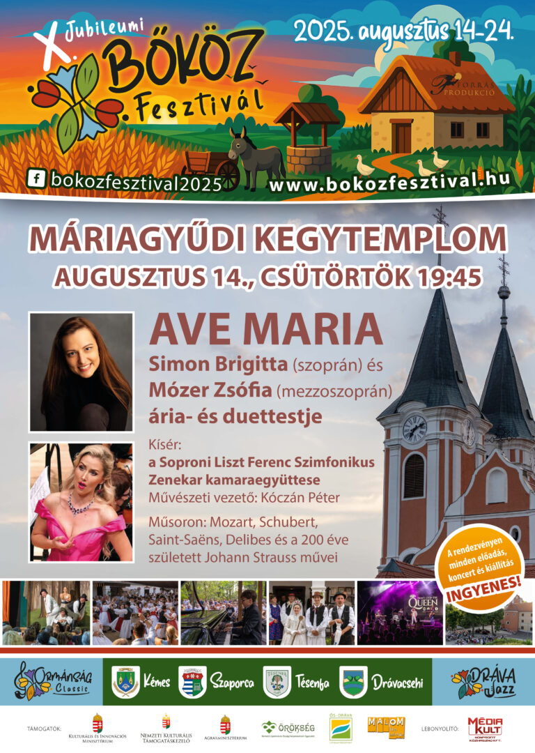 X bokoz fesztival plakat 2025 egyedi-6