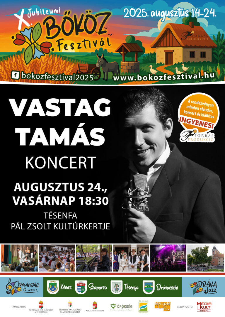 X bokoz fesztival plakat 2025 egyedi-7