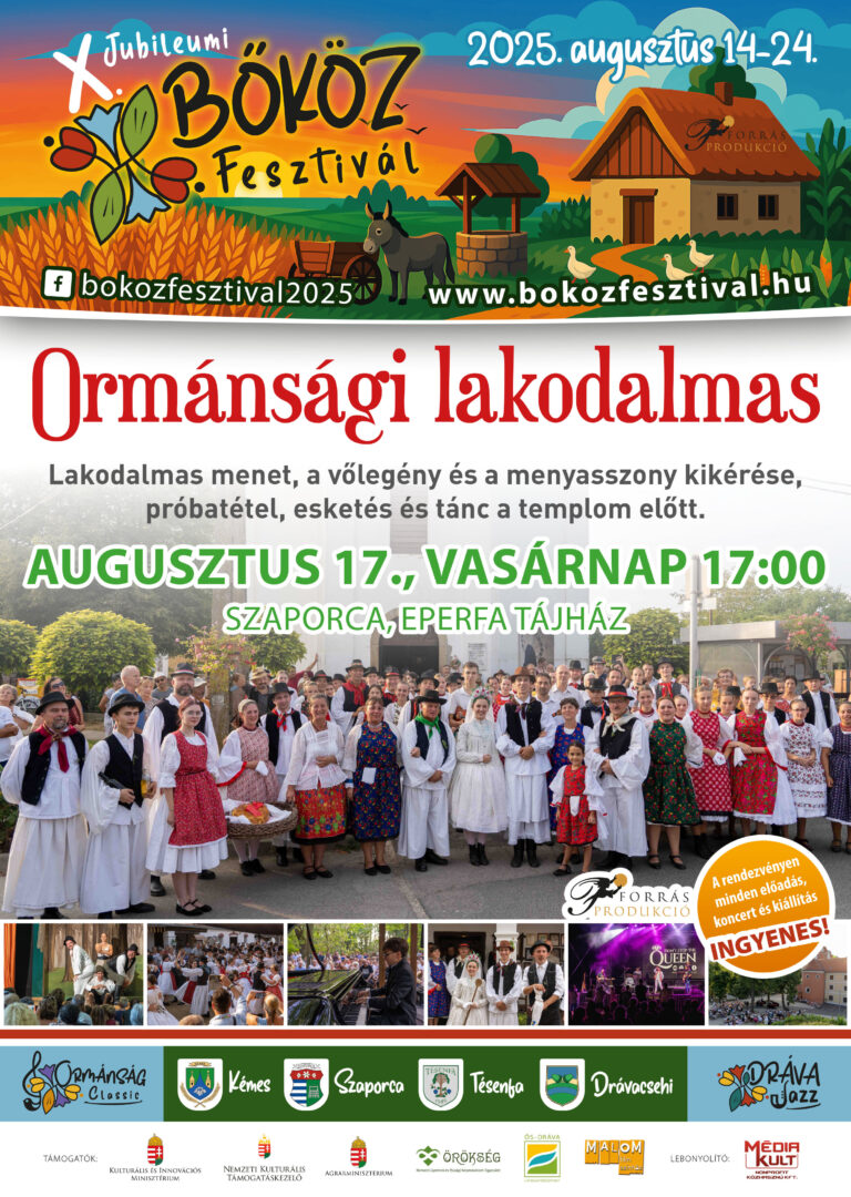 X bokoz fesztival plakat 2025 egyedi-8