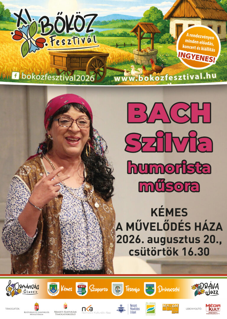 XI bokoz fesztival plakat 2026 egyedi-bach