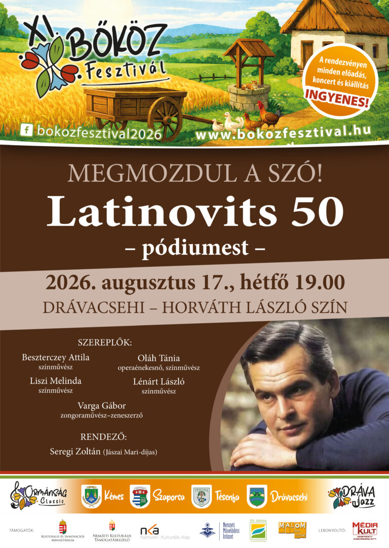 XI bokoz fesztival plakat 2026 egyedi-latinovics_csehi