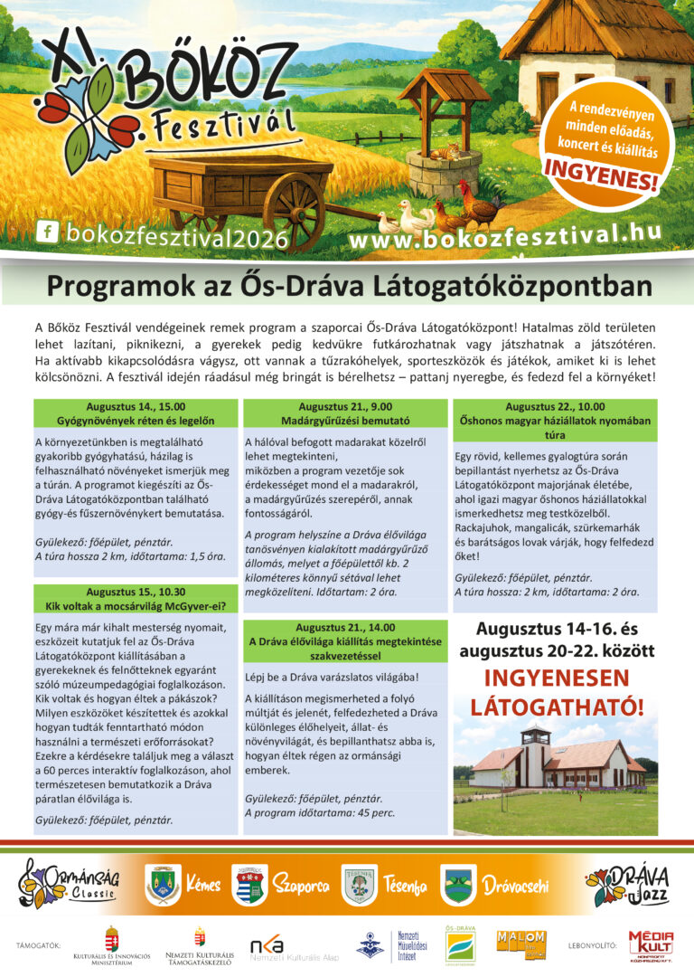 XI bokoz fesztival plakat 2026 egyedi-osdrava